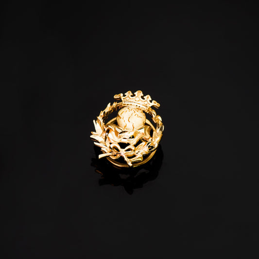 18K INSIGNIA ORO AMARILLO GEOGRAFIA 17 X 14 MM