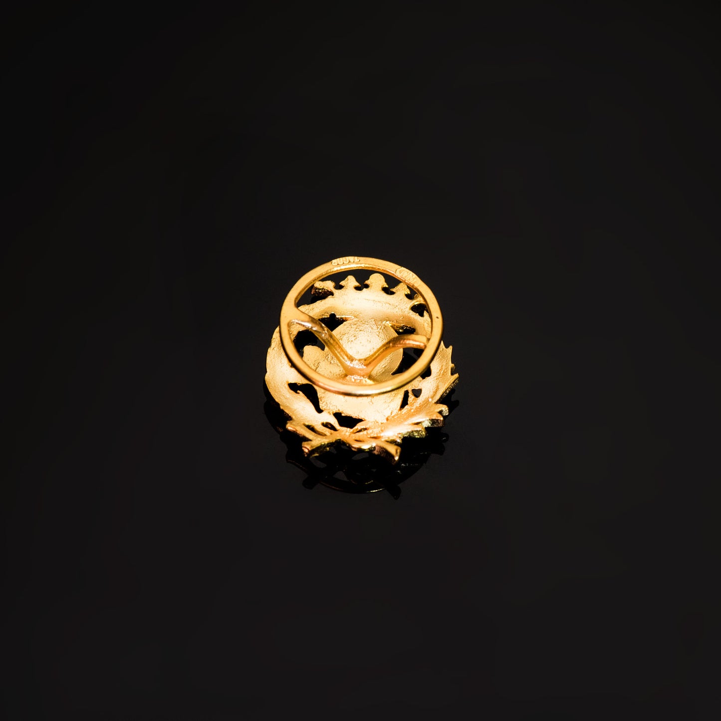18K INSIGNIA ORO AMARILLO GEOGRAFIA 17 X 14 MM