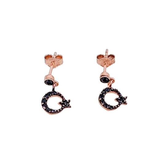 Moon and star earrings, silver with rose gold finish and cubic zirconia, push-back closure