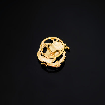 18K INSIGNIA ORO AMARILLO CIENCIAS EXACTAS ( MATEMATICAS ) 17 X 14 MM