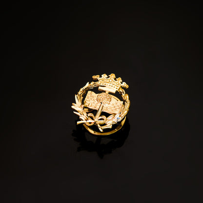 18K INSIGNIA ORO AMARILLO GEOLOGICAS 17 X 14 MM