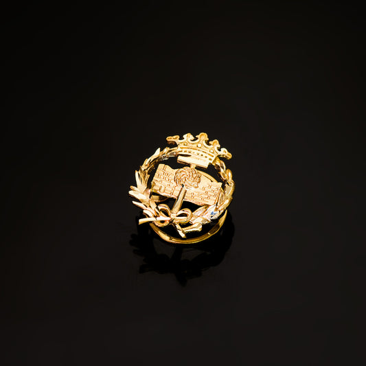18K INSIGNIA ORO AMARILLO GEOLOGICAS 17 X 14 MM