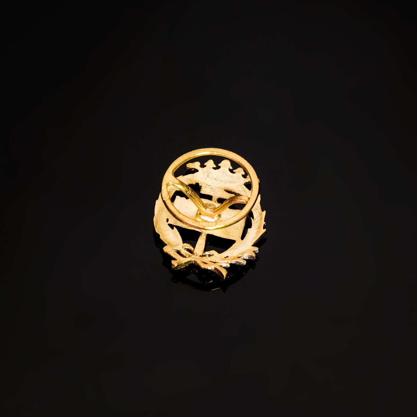 18K INSIGNIA ORO AMARILLO GEOLOGICAS 17 X 14 MM