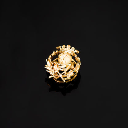 18K INSIGNIA ORO AMARILLO GEOGRAFIA 17 X 14 MM