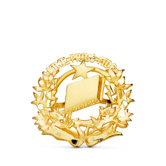 18K INSIGNIA ORO AMARILLO NOTARIO. 16 X 16 MM