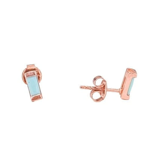 SILVER EARRINGS WITH TURQUOISE PINK FINISH AND PRESSURE CLOSURE