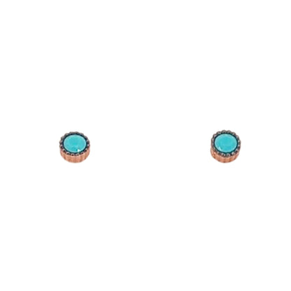 PENDIENTES PLATA ACABADO ROSA TURQUESA NATURAL CIERRE PRESION