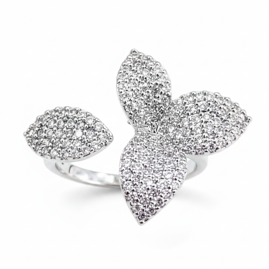 Anillo sobre fondo blanco